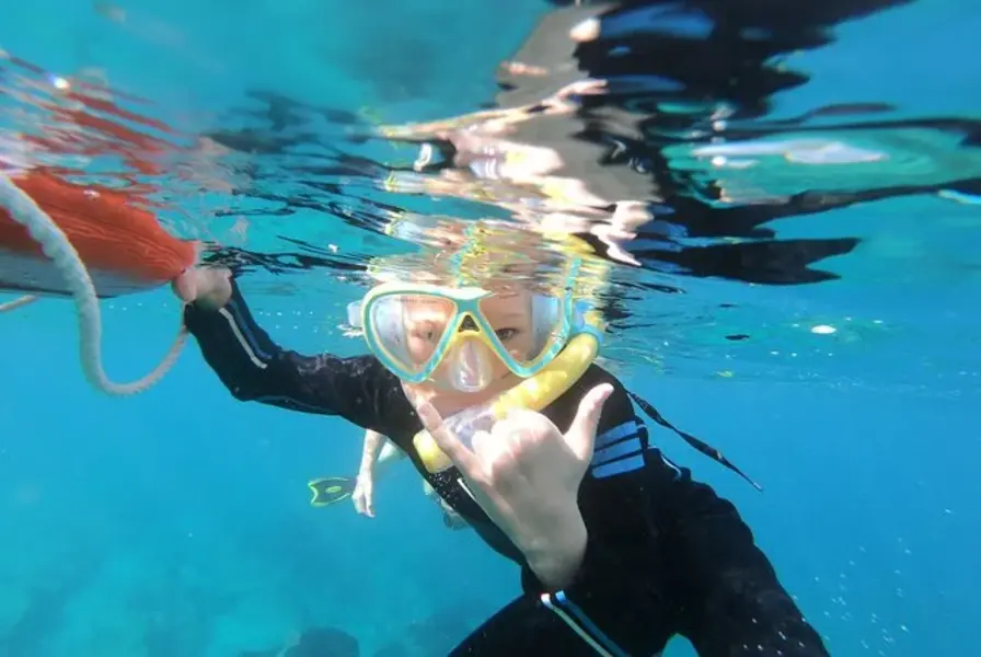 4. Snorkel with Mobula Rays and Diverse Marine Life