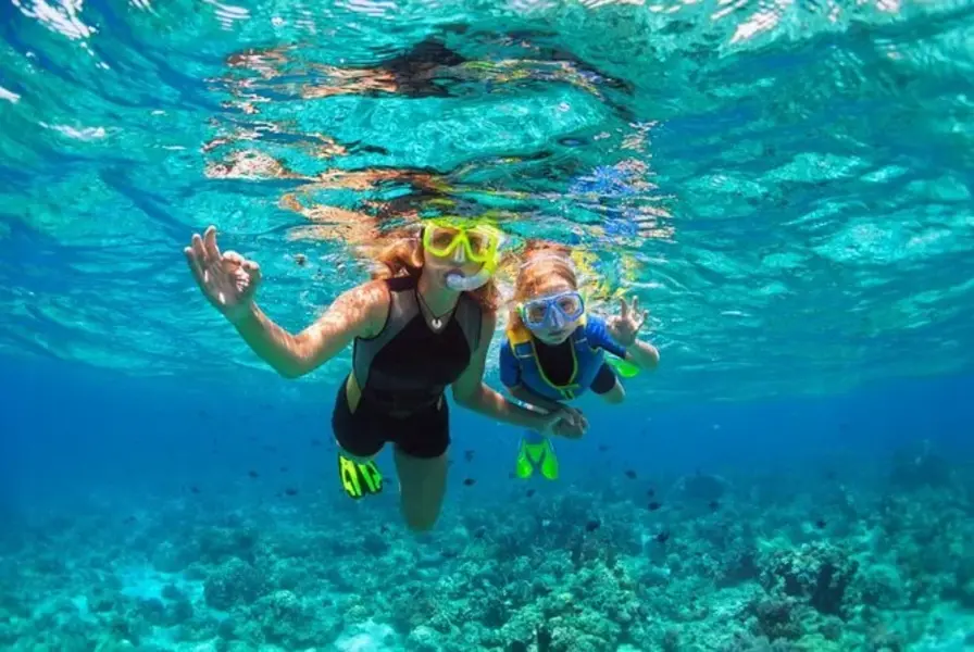 5. Snorkeling and Diving at Chileno Bay