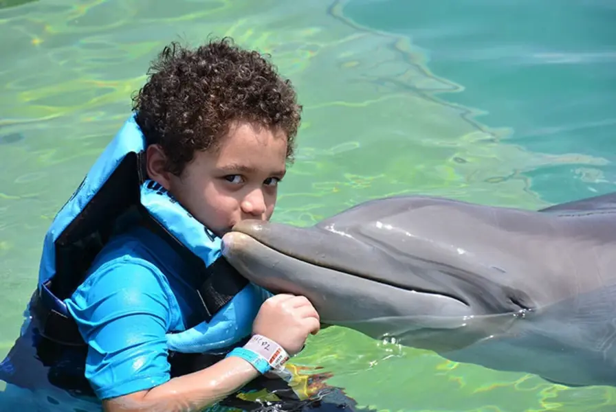 5. Swim with Dolphins or Sea Lions