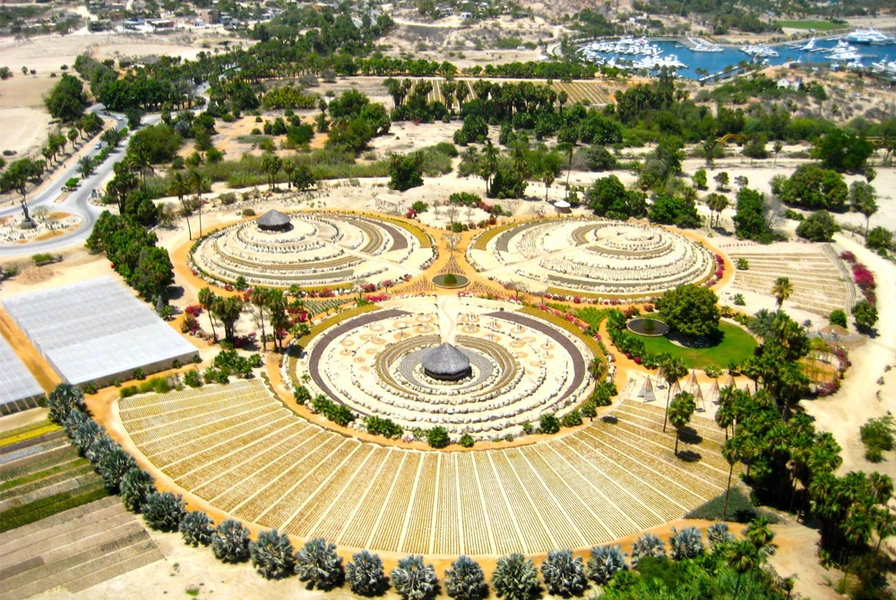 8. Explore Wirikuta Botanical Park