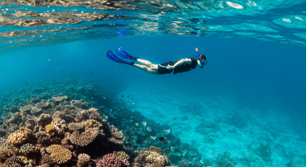 Snorkeling Costa Rica: Underwater view of vibrant marine life and clear waters