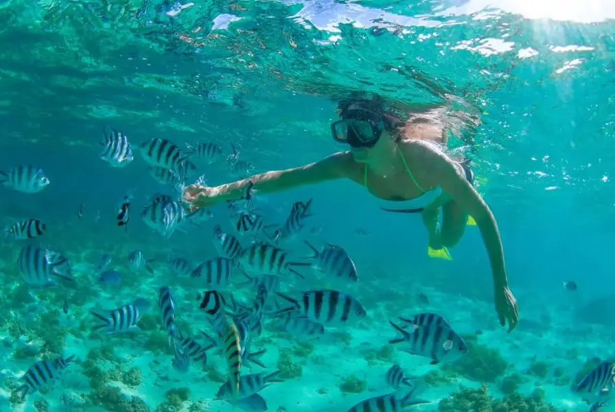Snorkeling and Scuba Diving Trips