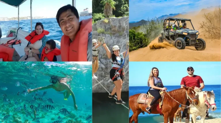 Top Cabo Excursions for Families Fun and Safe Adventures for All Ages
