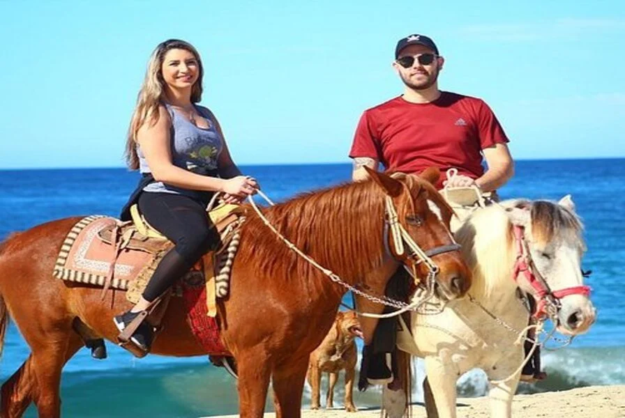 Wildlife and Nature Experiences