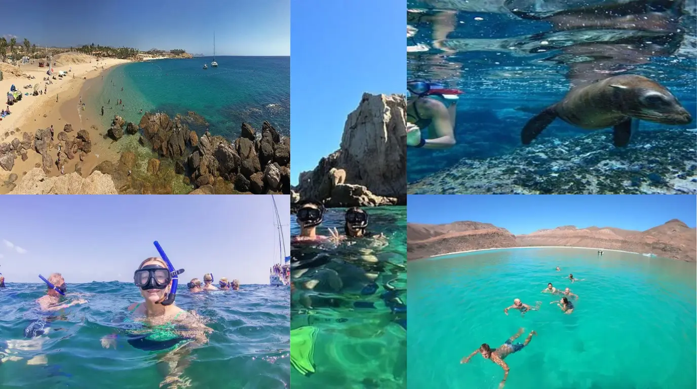 Best Places to Snorkel in Cabo San Lucas – Top 10 Spots