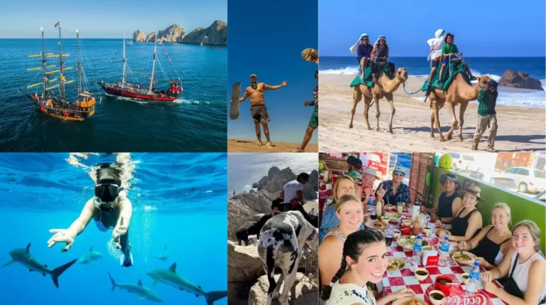 10 Unique Things to Do in Cabo for an Unforgettable Trip