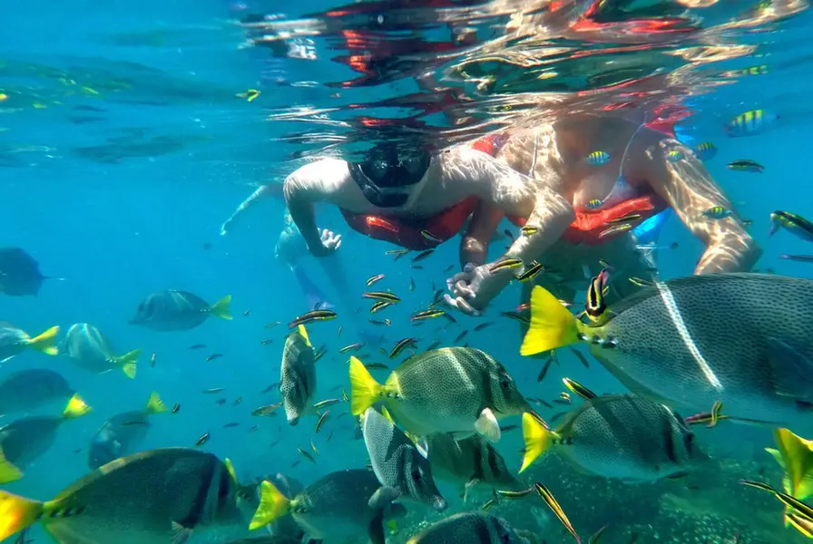 2. Snorkeling and Scuba Diving Adventures