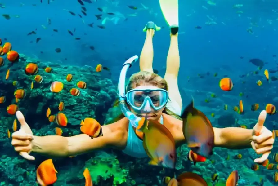 6. Snorkeling and Exploring the Sea of Cortez