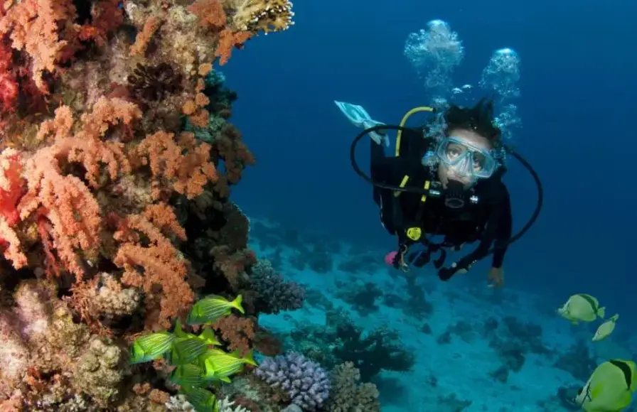 7. Explore Underwater Wonders Together