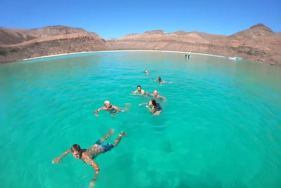 9. La Paz and Espíritu Santo Island – Whale Sharks and Sea Lions