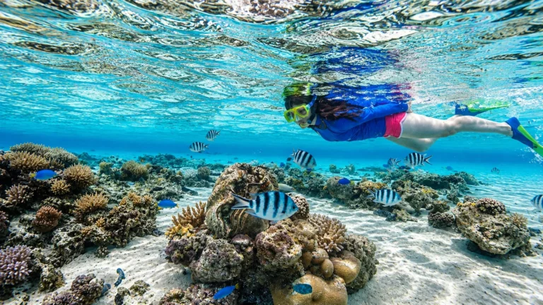 Best places to snorkel in Cabo San Lucas with a snorkeler exploring a colorful coral reef and tropical fish in clear turquoise waters.