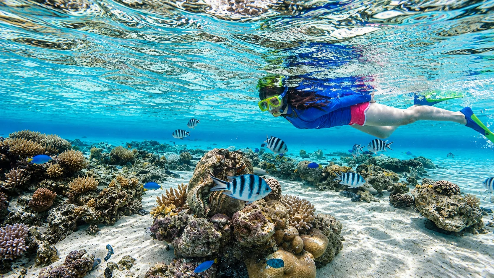 Best places to snorkel in Cabo San Lucas with a snorkeler exploring a colorful coral reef and tropical fish in clear turquoise waters.