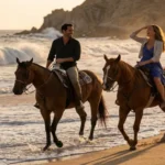 Things to Do on Dry Land - Things to Do in Cabo San Lucas for Couples