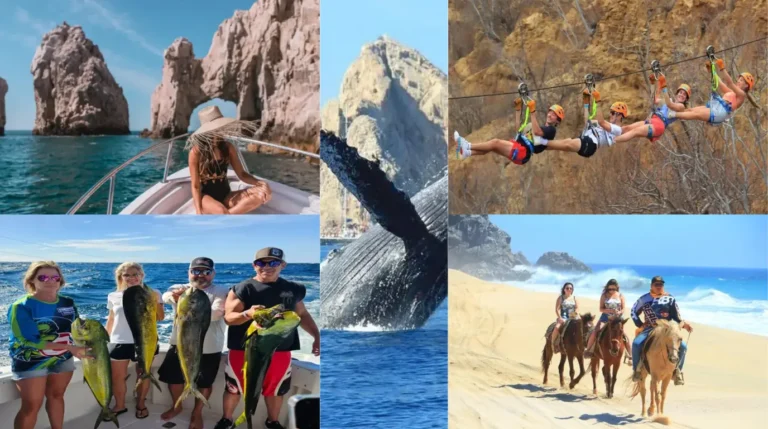 Group Activities in Cabo San Lucas 2025 | Top 10 Fun Ideas for Your Crew