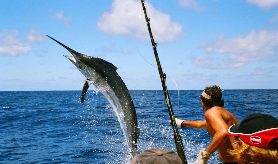 4. Cabo: The Striped Marlin Capital of the World