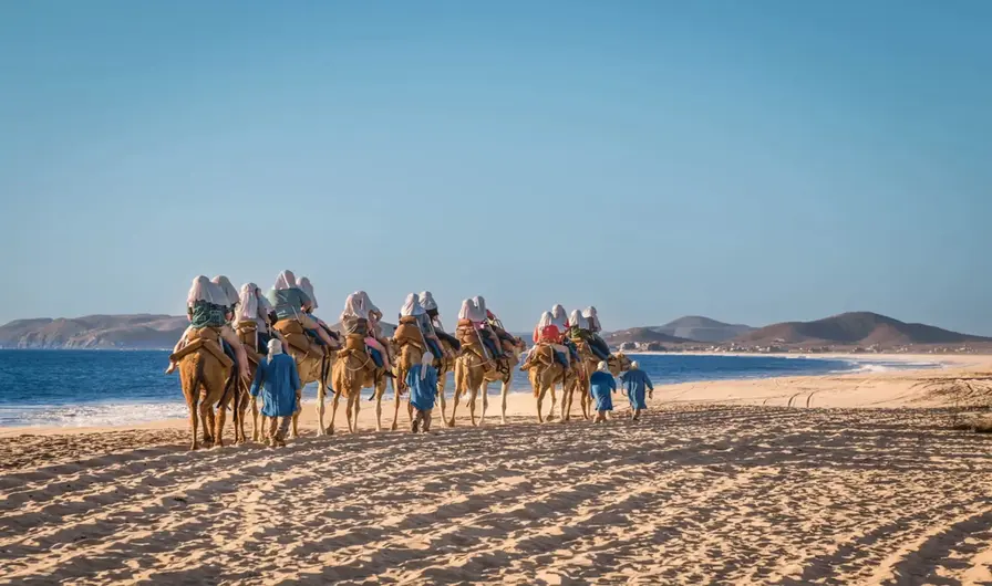 9. Cabo’s Distinctive Geography: Desert Meets the Sea