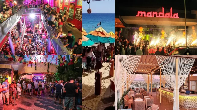 Best Clubs in Cabo: Top 6 Nightspots for an Unforgettable Night