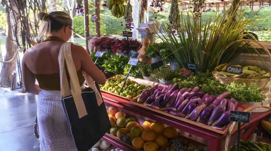Market-to-Table Experience
