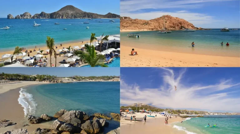 Swimmable Beaches in Cabo - The Ultimate Guide to Safe & Stunning Spots