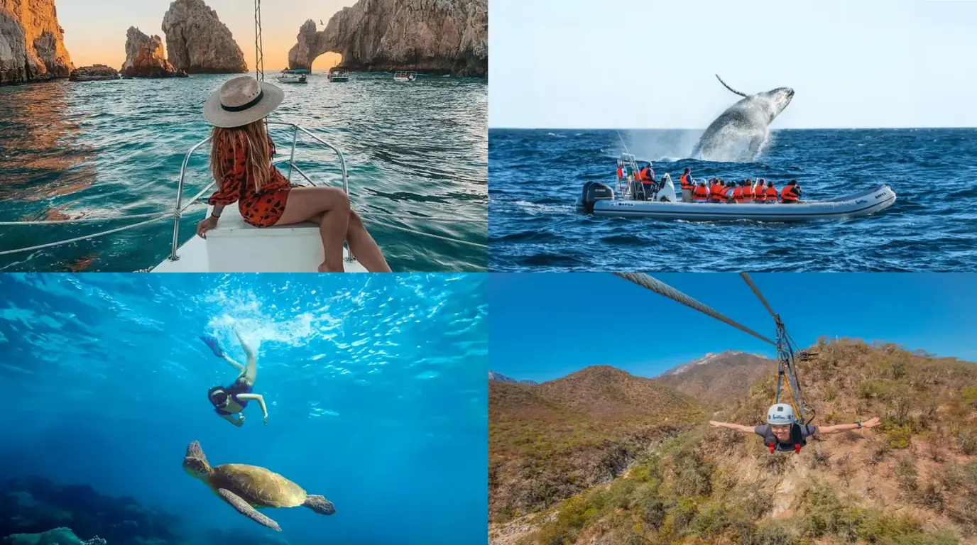 Cabo in December - Weather, Events & Top Things to Do for Your perfect Trip