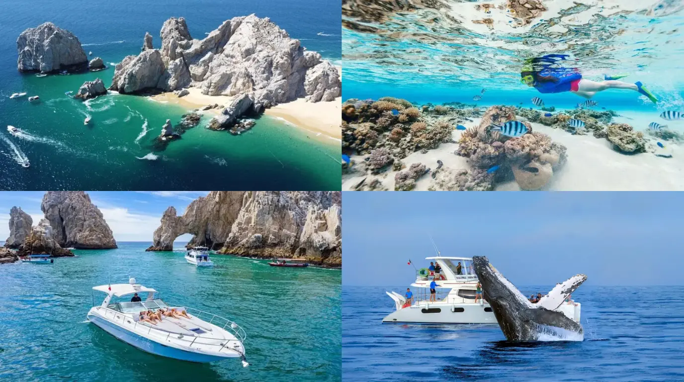 Cabo in February - Weather, Events & Top Things to Do for Your Perfect Trip