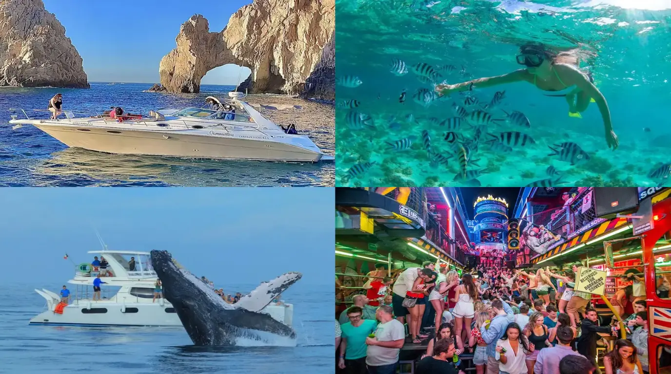 Cabo in January - Weather, Events & Top Things to Do for Your Perfect Trip
