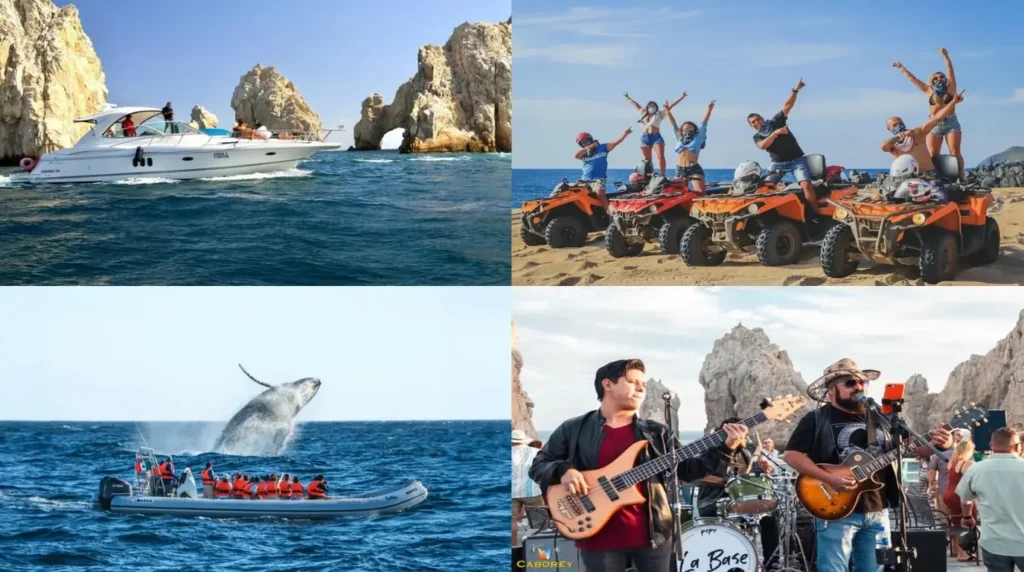 Cabo in November - Weather, Events & Top Things to Do for Your Perfect Trip