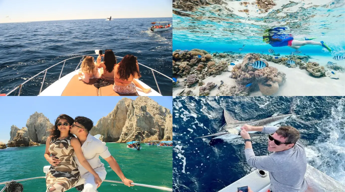 Los Cabos in March - Weather, Events & Top Things to Do for Your perfect Trip