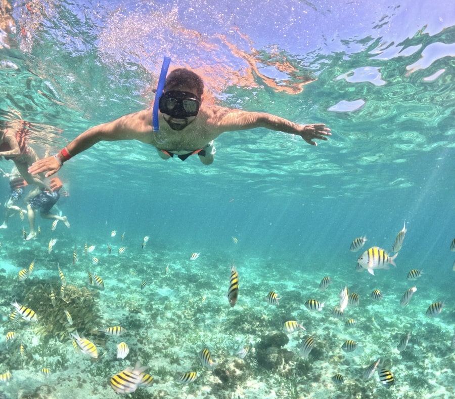 A person snorkels underwater among colorful fish in clear blue water.
