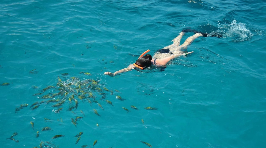 1. Hit the Hidden Coves - Top Things to Do in Negril in July