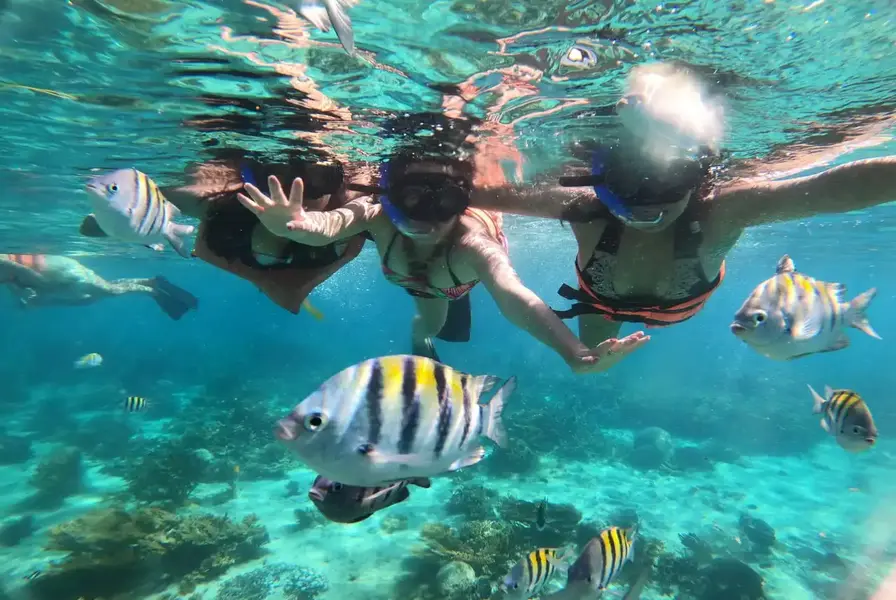 1. Isla Mujeres Snorkeling & Beach Tour