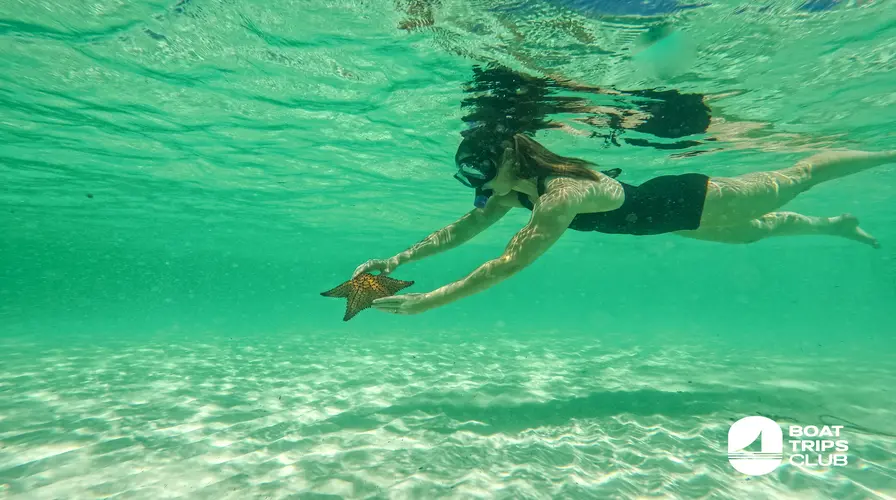 1. Ultimate Beach and Snorkeling Escapes - Top Things to Do in Punta Cana in July