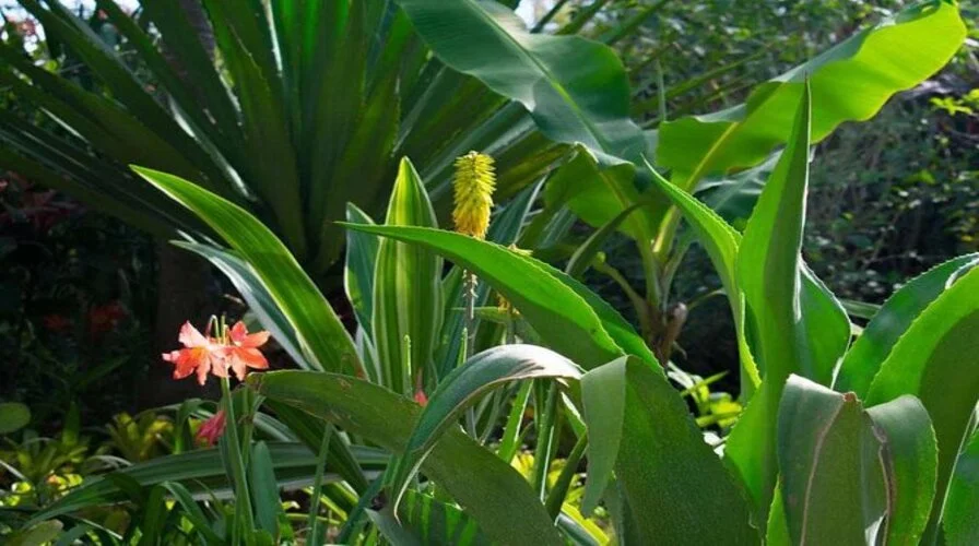 10. Explore Barney’s Flower and Hummingbird Garden
