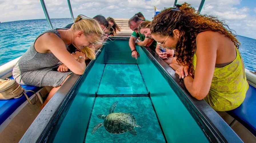 10. Glass-Bottom Boat Ride - Top 10 Punta Cana Excursions for Families