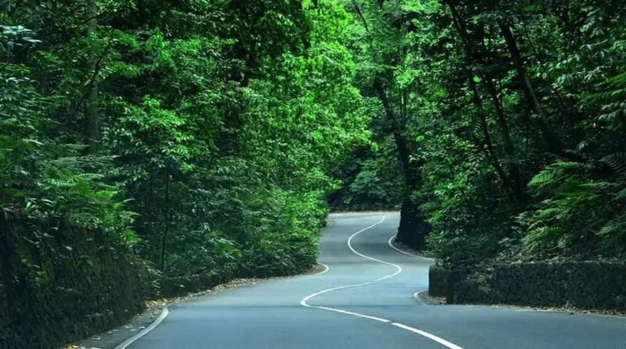 12. Explore Fern Gully