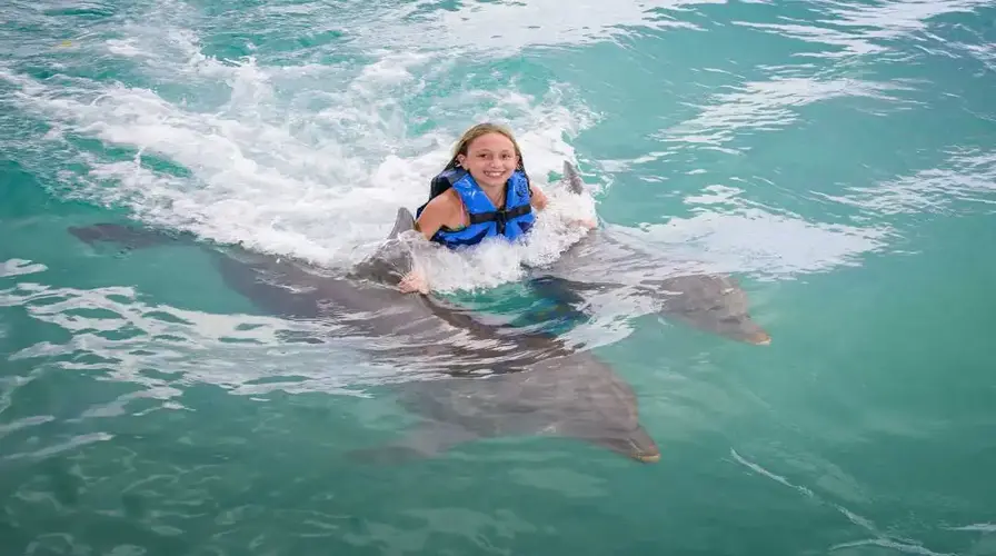 3. Experience Marine Life Fun at Dolphin Cove