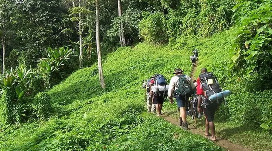 3. Hit the Jungle Trails - Best Things to Do in Montego Bay Once You're There - Where is Montego Bay Located