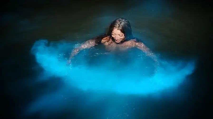 4. Bioluminescent Swims - Top Things to Do in Negril in July
