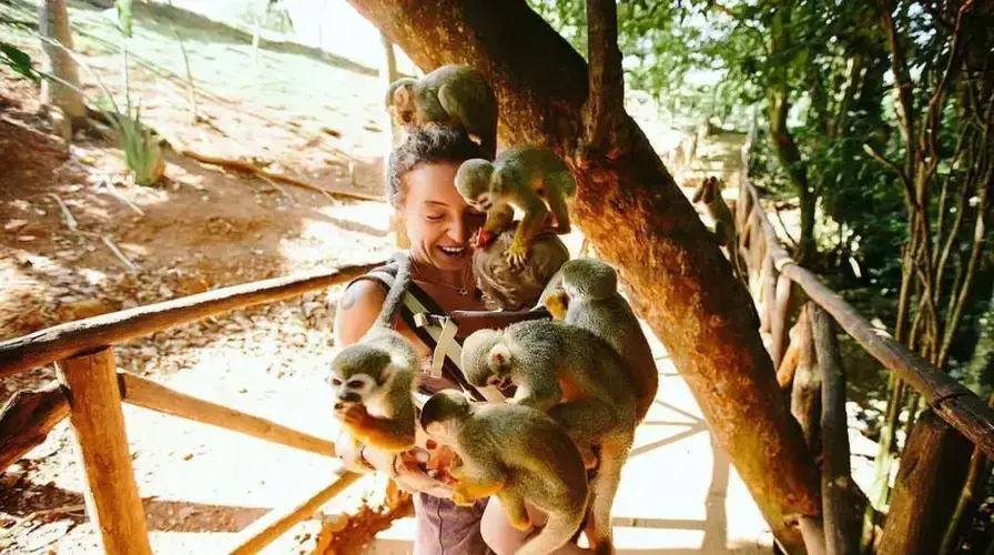 4. Monkeyland and Wildlife Tours - Top Must-See Tours and Adventures in Punta Cana