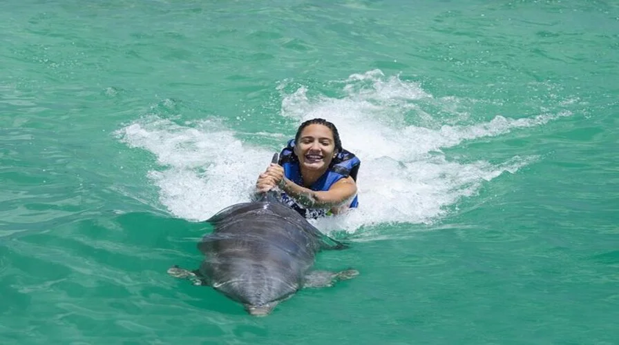 5. Dolphin Explorer Park - Top 10 Punta Cana Excursions for Families