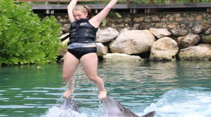 5. Swim with Dolphins at Dolphin Cove