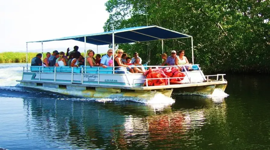 7. Black River Safari: Wildlife and Scenic Boat Tour