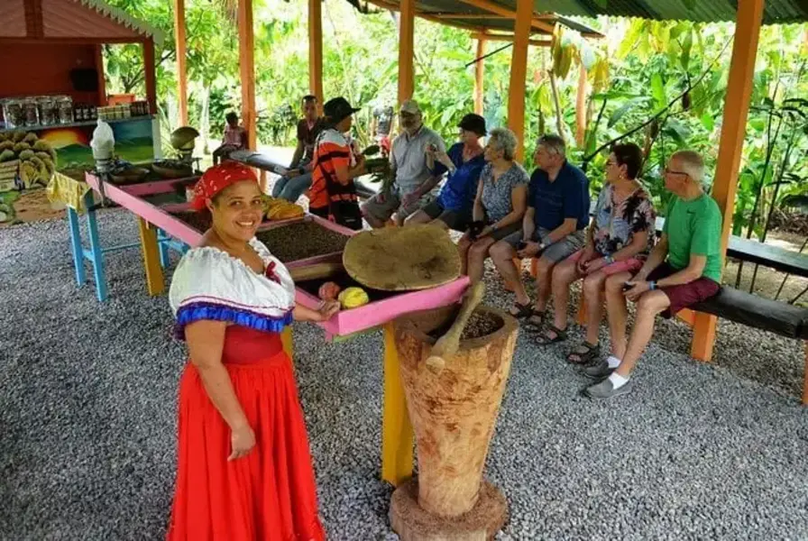 8. Discover Punta Cana’s Local Culture with a Plantation or Safari Tour