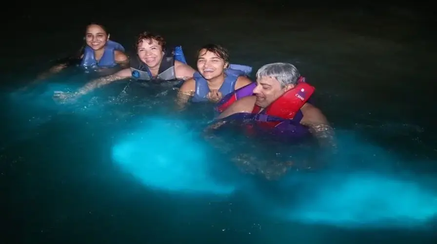 9. Take a Bioluminescent Lagoon Boat Ride