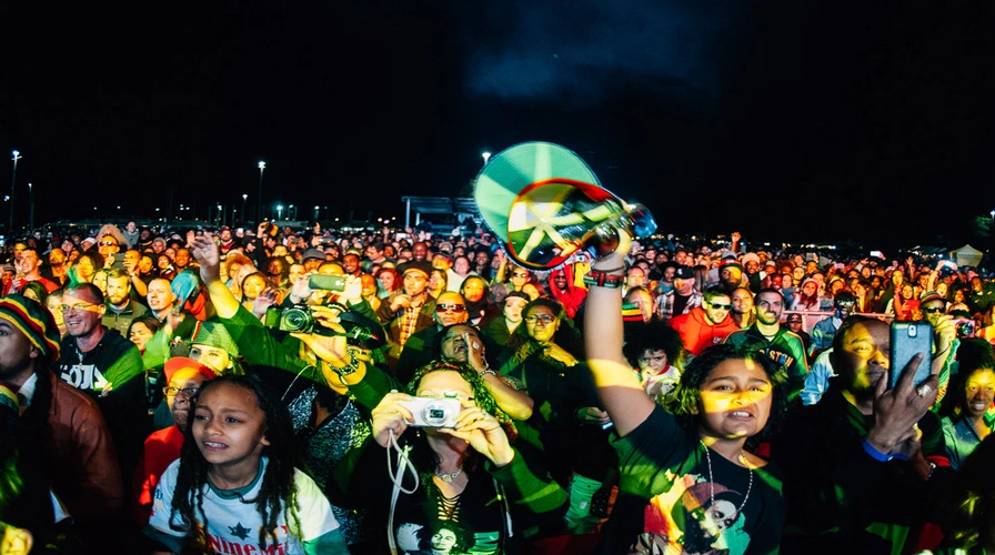 Fact 13 We Throw Over 200 Reggae Festivals a Year - Fun Facts About Jamaica