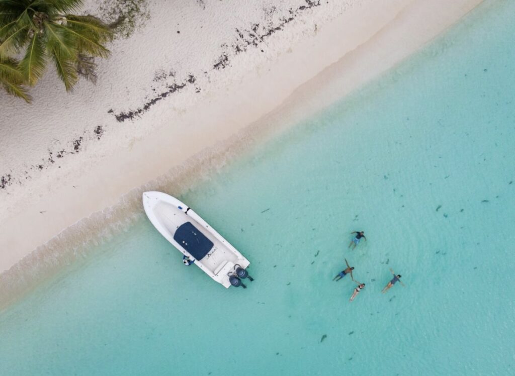 Private Isla Saona & Palmilla Experience