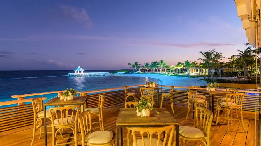 Nightlife and Dining Experiences - Best Things to Do in Punta Cana in February