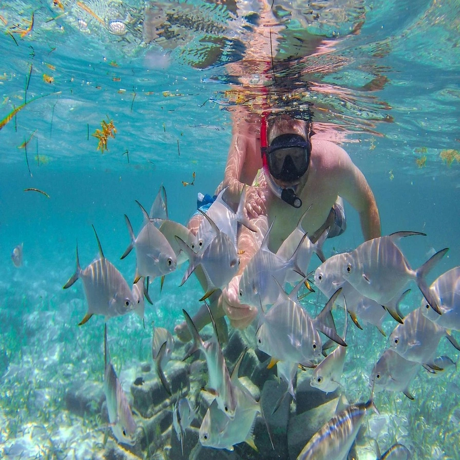 Snorkeling and Reef Exploration