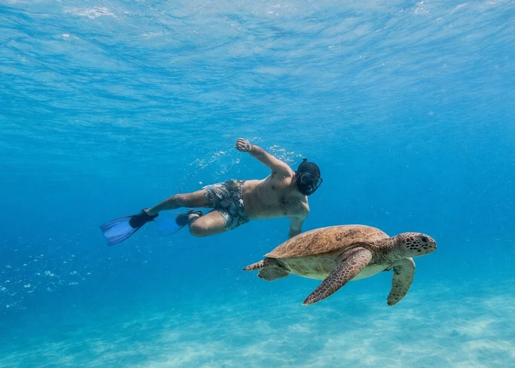 Snorkeler swimming alongside a sea turtle in clear turquoise ocean water.