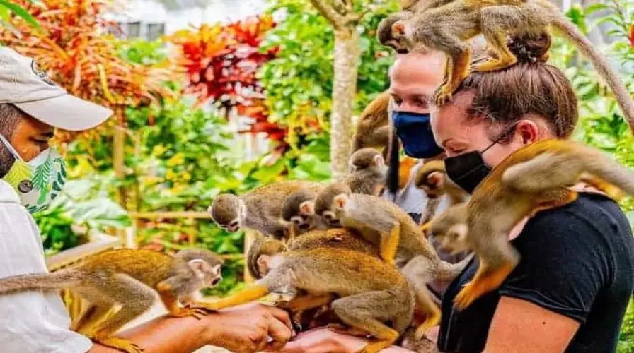 Unique Wildlife and Marine Experiences